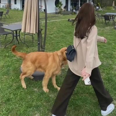 婴魂不散