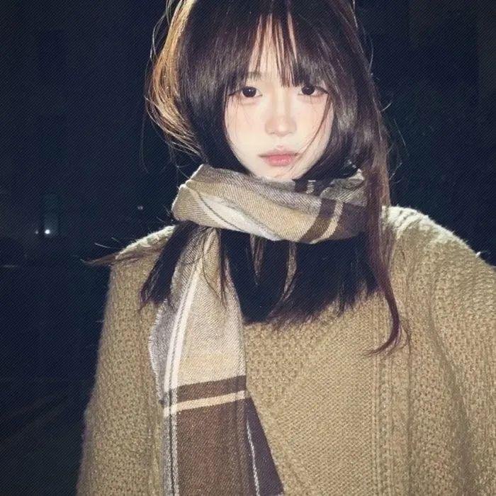 孤胆义侠